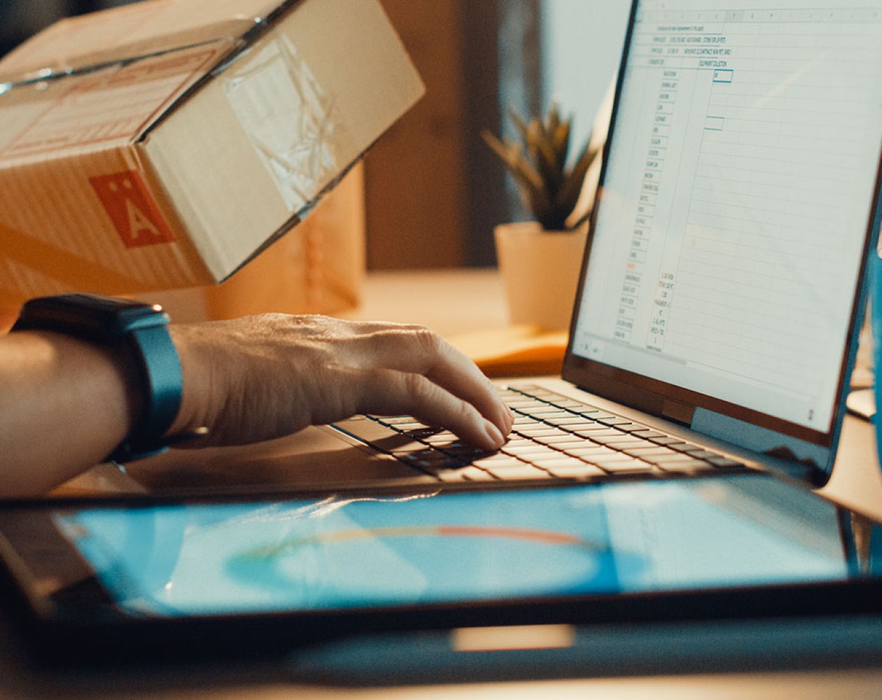 GESTIONE E-COMMERCE IN OUTSOURCING