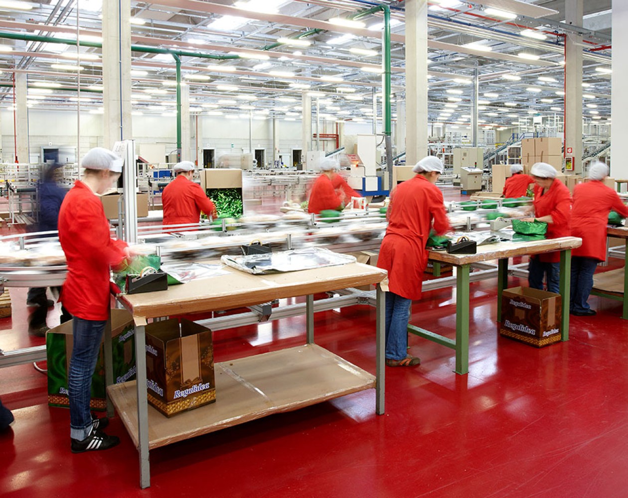 REVERSE LOGISTICS
